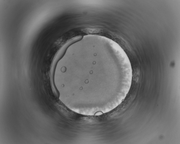 X0000116830763201001151226