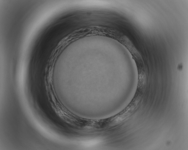 X0000116830765201001151226