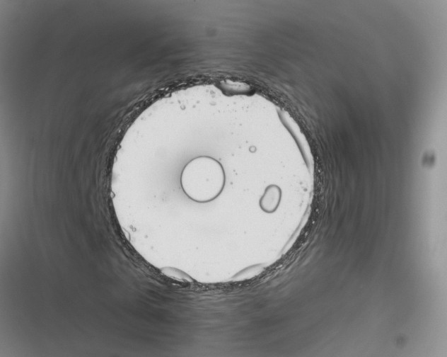 X0000116830769201001151225