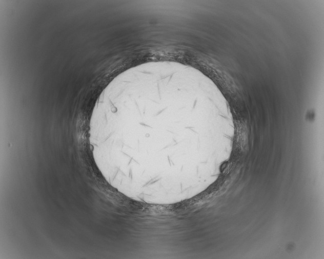 X0000116830770201001151225