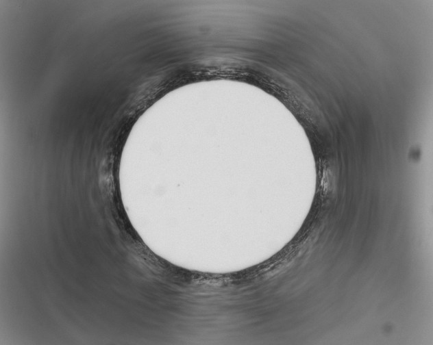 X0000116830771201001151225