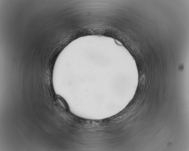 X0000116830772201001151225