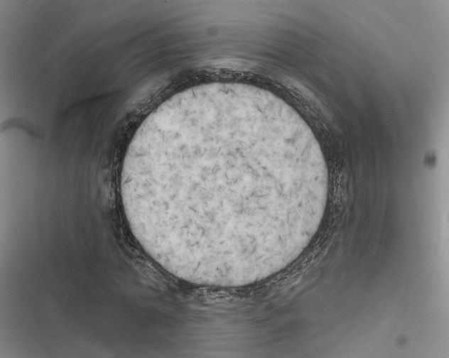 X0000116830774201001151225