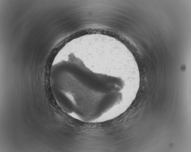 X0000116830775201001151225