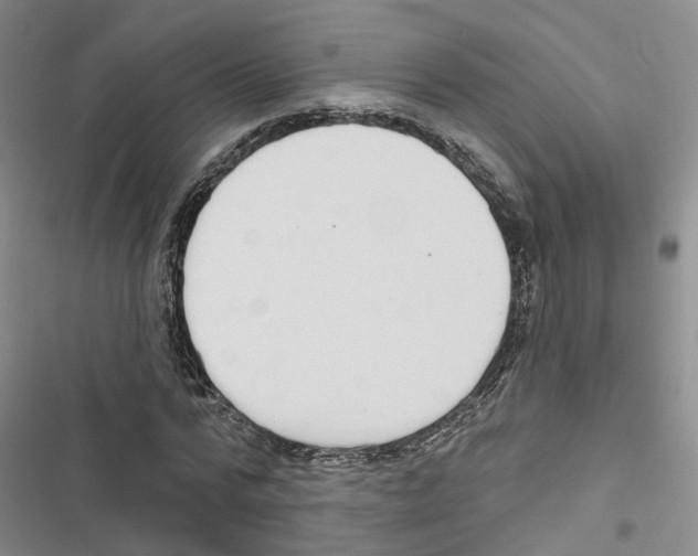 X0000116830776201001151225