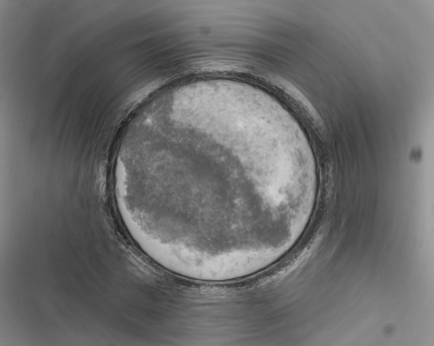 X0000116830777201001151225