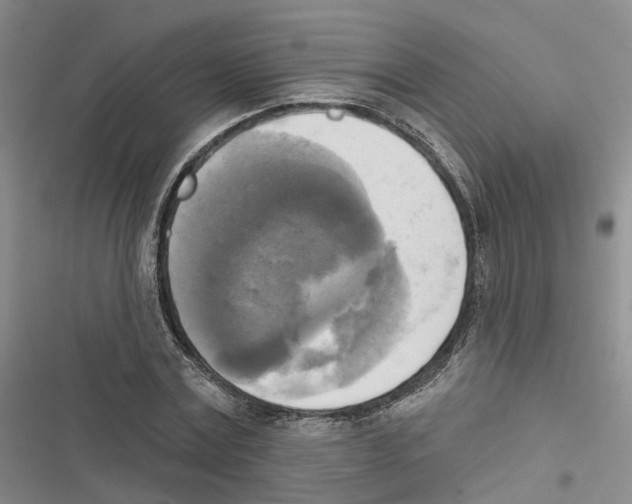 X0000116830779201001151225