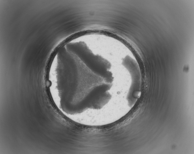 X0000116830783201001151225