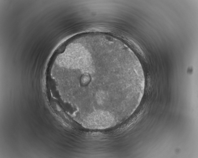 X0000116830784201001151225