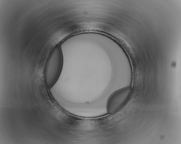 X0000116830785201001151225