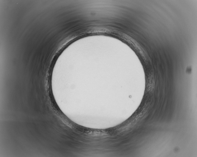 X0000116830786201001151225