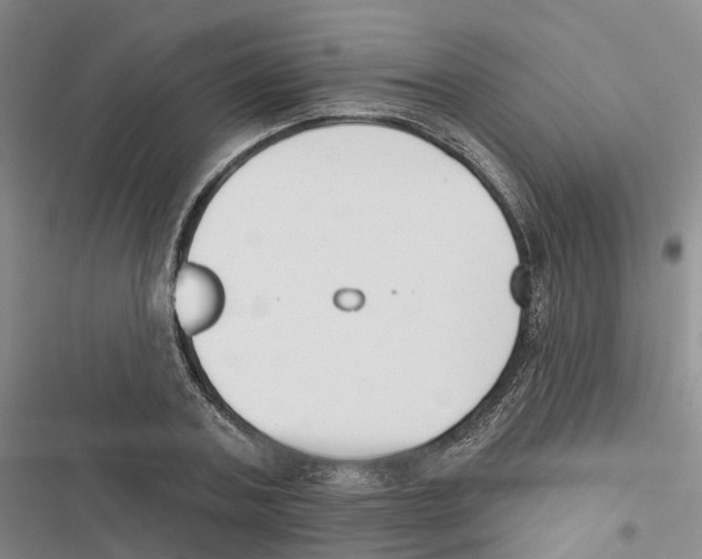 X0000116830787201001151225