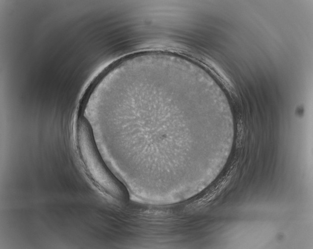 X0000116830788201001151225