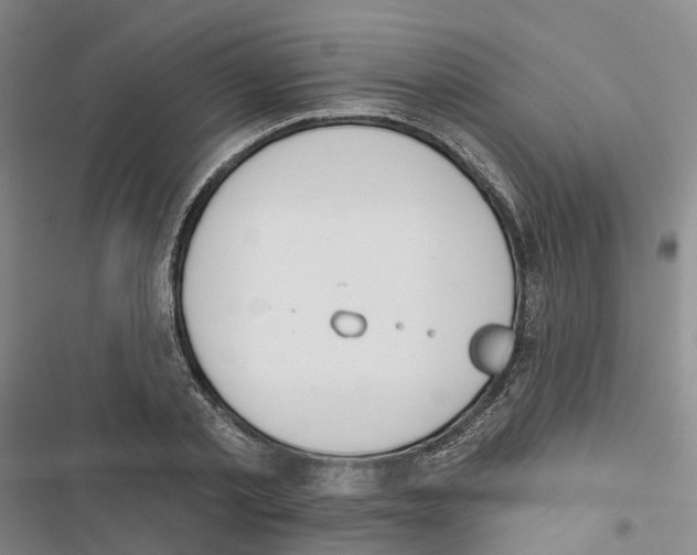 X0000116830789201001151225