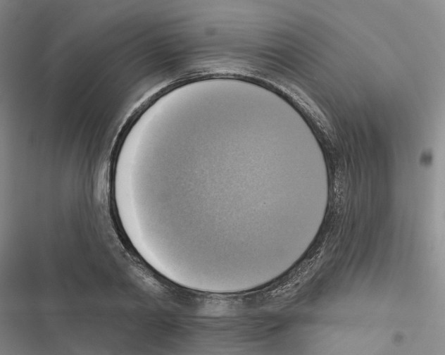 X0000116830790201001151225