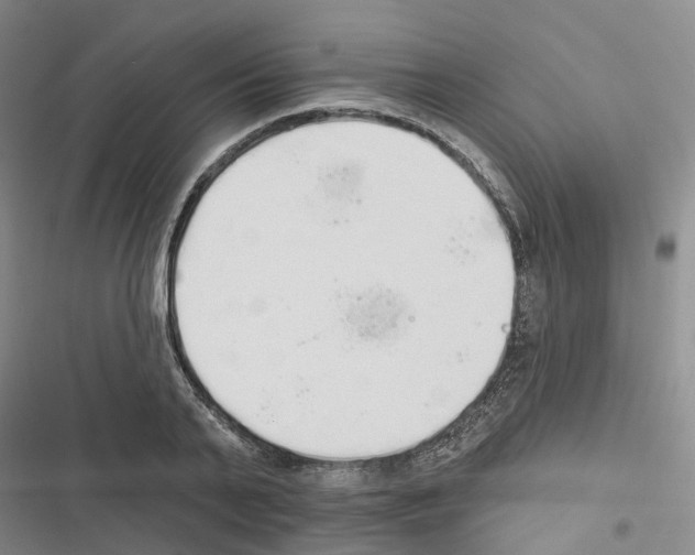 X0000116830791201001151225