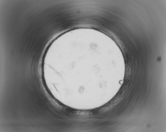 X0000116830795201001151225