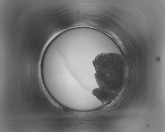 X0000116830796201001151225