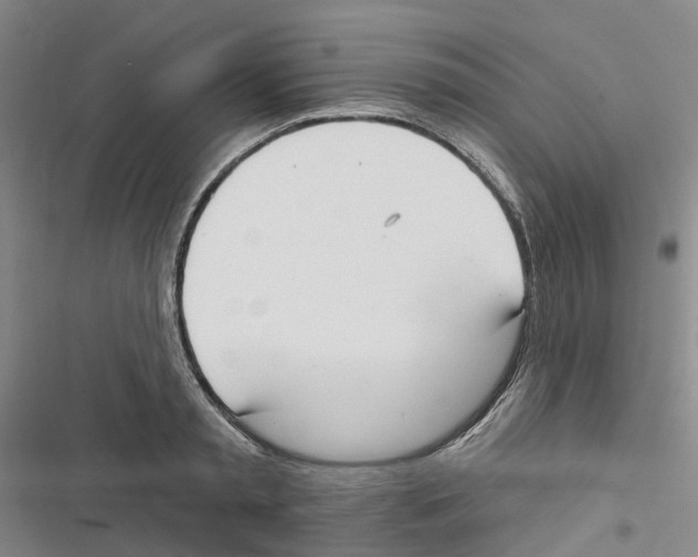 X0000116830797201001151225