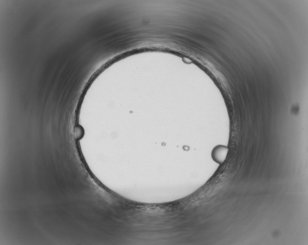 X0000116830799201001151225