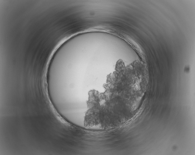 X0000116830800201001151225