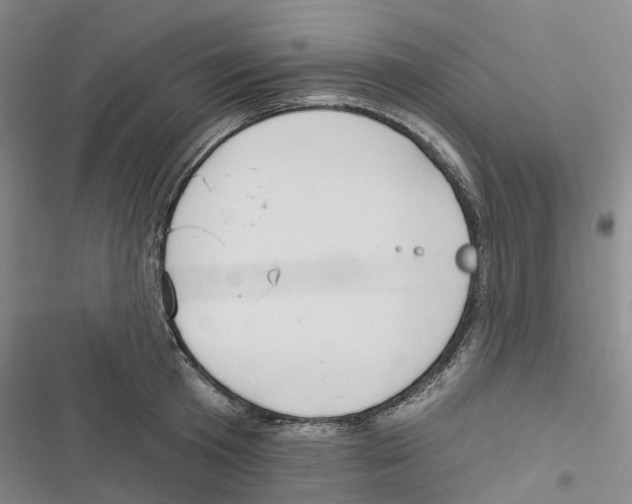 X0000116830801201001151225