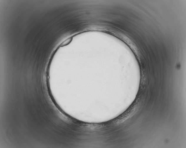 X0000116830803201001151225