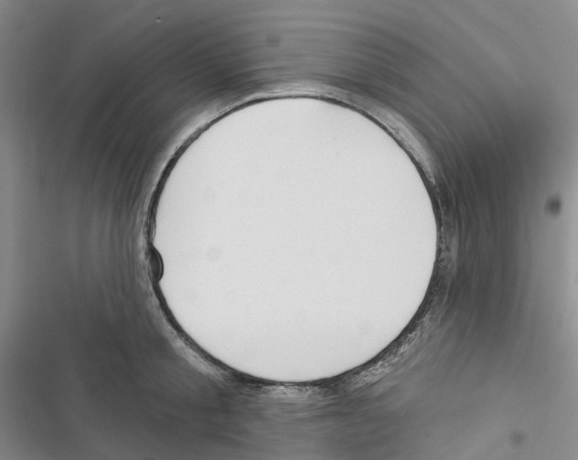 X0000116830805201001151225