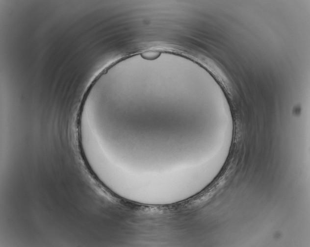 X0000116830806201001151225