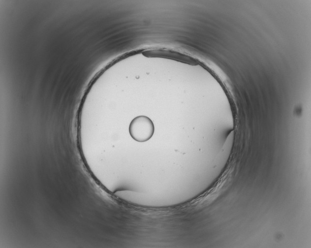 X0000116830807201001151225