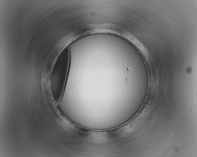 X0000116830809201001151225