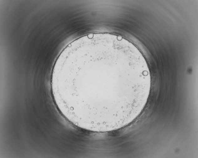 X0000116830810201001151225