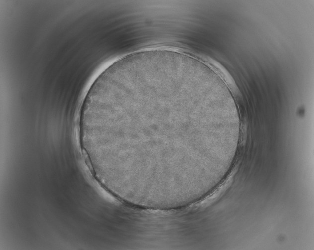 X0000116830812201001151225