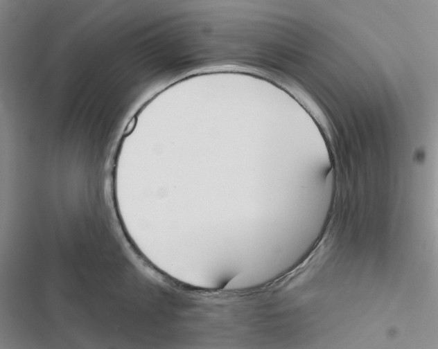 X0000116830813201001151225