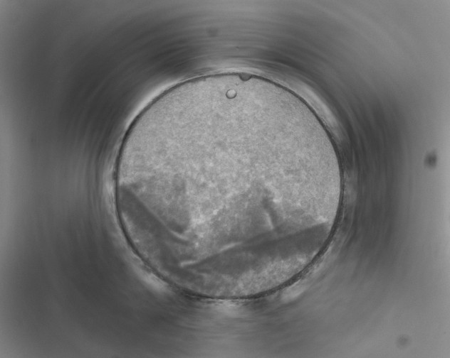 X0000116830814201001151225