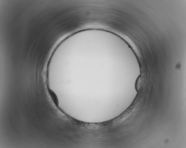 X0000116830815201001151225