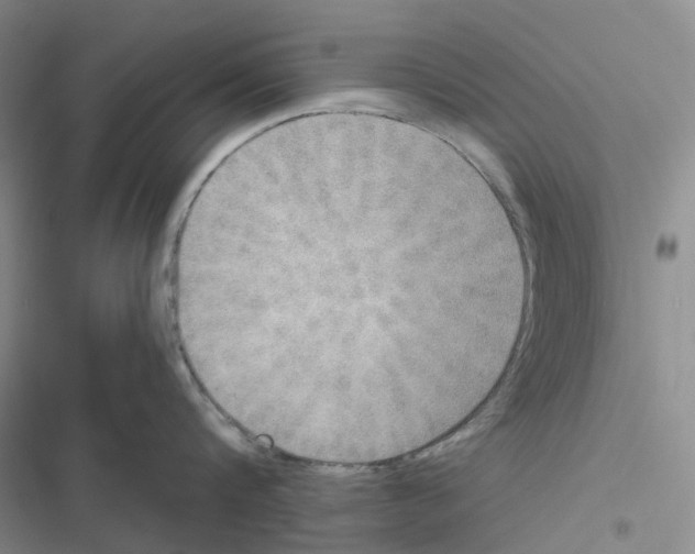 X0000116830816201001151225