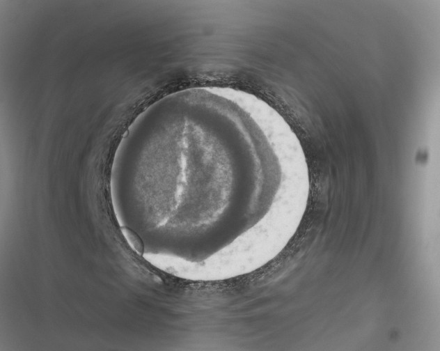 X0000116830817201001151224