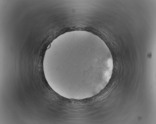 X0000116830818201001151224