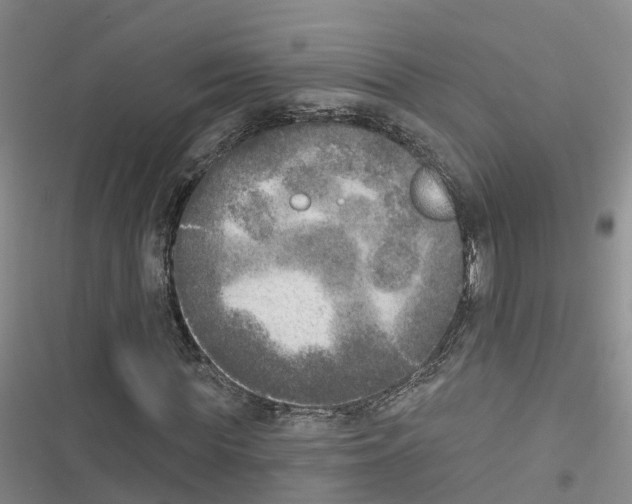 X0000116830819201001151224