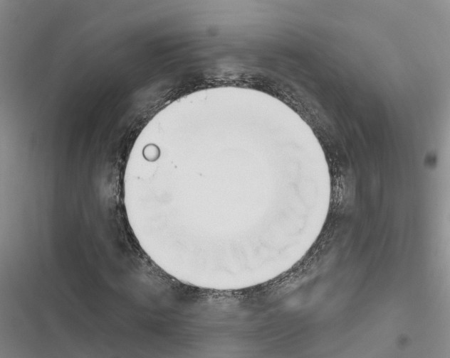 X0000116830820201001151224