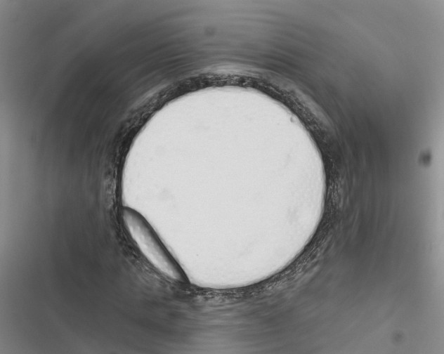 X0000116830821201001151224