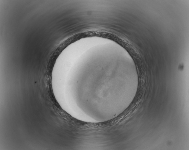 X0000116830822201001151224