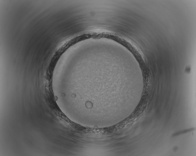 X0000116830823201001151224