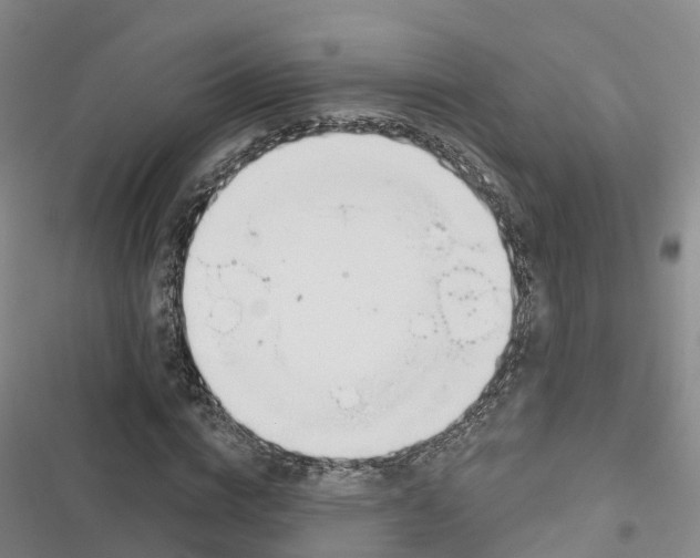 X0000116830824201001151224