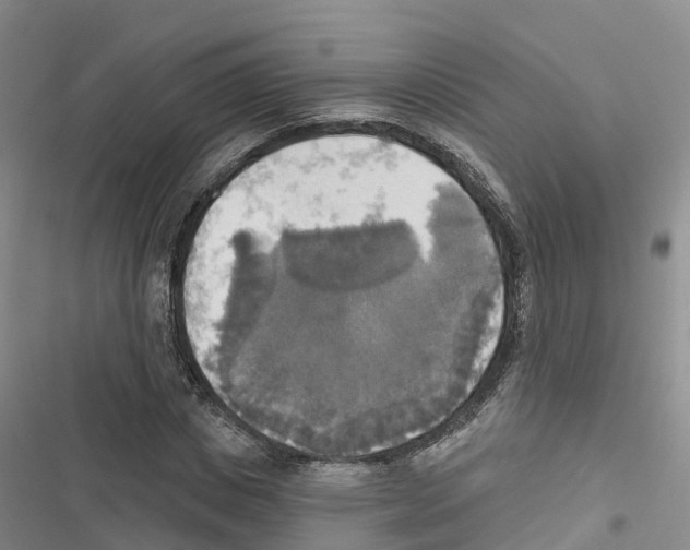 X0000116830825201001151224