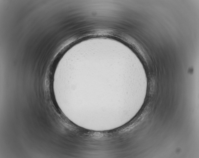 X0000116830827201001151224