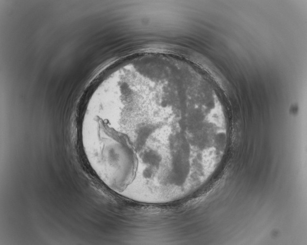 X0000116830829201001151224