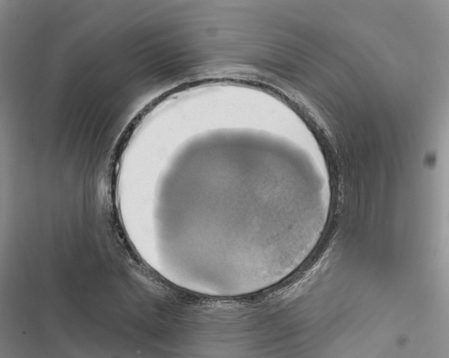 X0000116830830201001151224