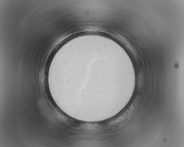 X0000116830831201001151224